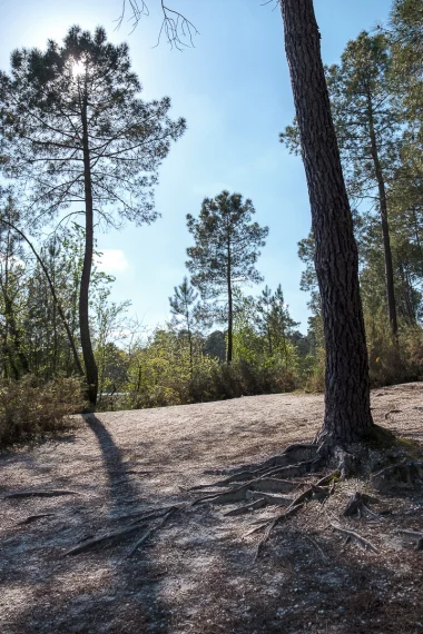 20220416 lac bleu leognan (7).